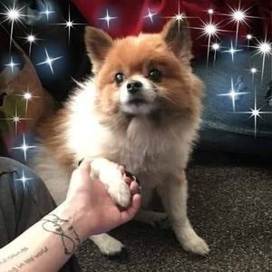 Meet your Posher, Jeanne